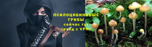 гидропоника Кодинск