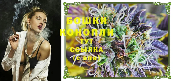 СК Козловка