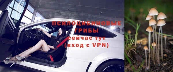 СК Козловка
